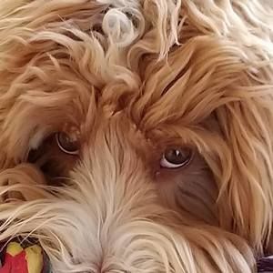 Meet your Posher, Joanne